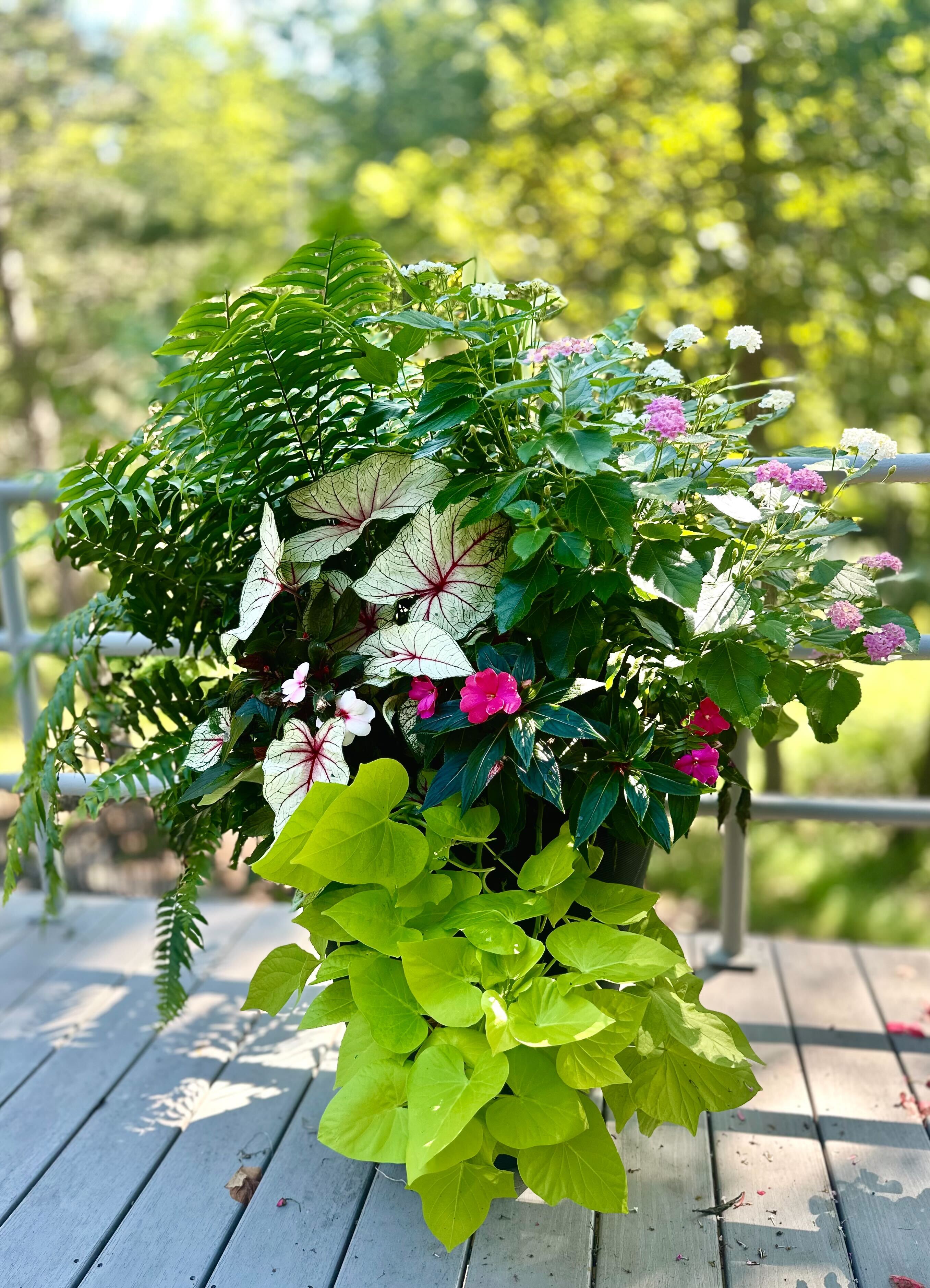 Beautiful seasonal planter arrangement