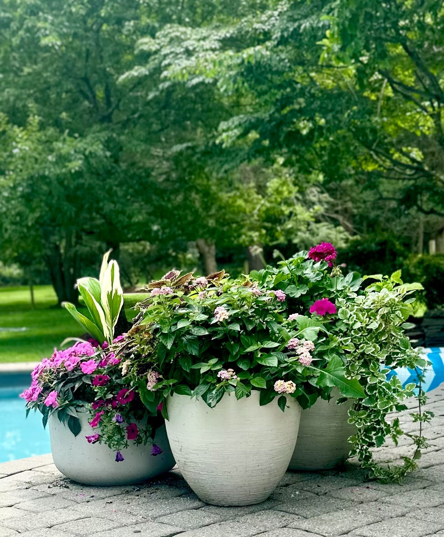 Spring planter arrangement